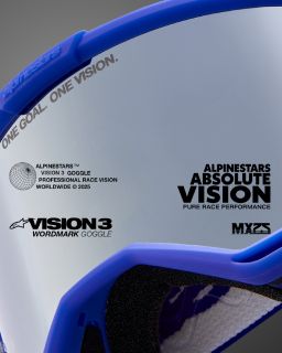 Okuliare VISION 3 WORDMARK, ALPINESTARS (modrá, zrkadlové strieborné plexi) 2025