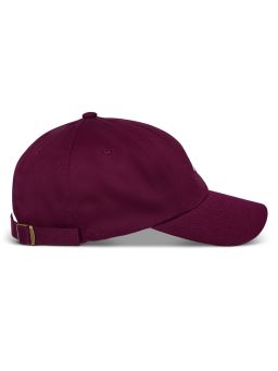 šiltovka DEDUCE STRAPBACK, ALPINESTARS (burgundy)