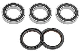 Servisní sada zadního kola (RACE SERIES), FACTORY LINKS