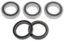 Servisní sada zadního kola (RACE SERIES), FACTORY LINKS