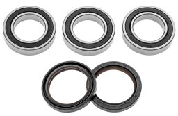 Servisní sada zadního kola (RACE SERIES), FACTORY LINKS