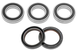 Servisné sada zadného kolesá (RACE SERIES), FACTORY LINKS