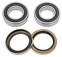 Servisné sada zadného kolesá (RACE SERIES), FACTORY LINKS