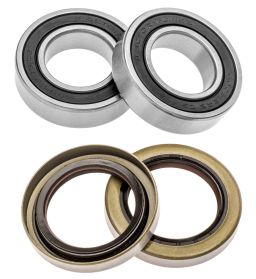 Servisné sada zadného kolesá (RACE SERIES), FACTORY LINKS