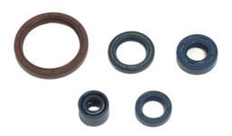 Sada gufier motora, ATHENA (sada 5ks)