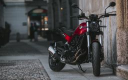 Benelli Leoncino 500