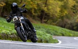 Benelli Leoncino 800