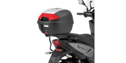 TPH 50 Typhoon [2015]